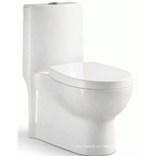 Sanitarios Cuarto de baño Sifón WC de una pieza para el mercado de Brasil (6211)